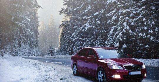 Surviving Winter Hazards Surviving Winter Hazards